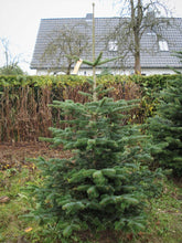 Lade das Bild in den Galerie-Viewer, Beispiel für Wilder Hans dritte Wahl