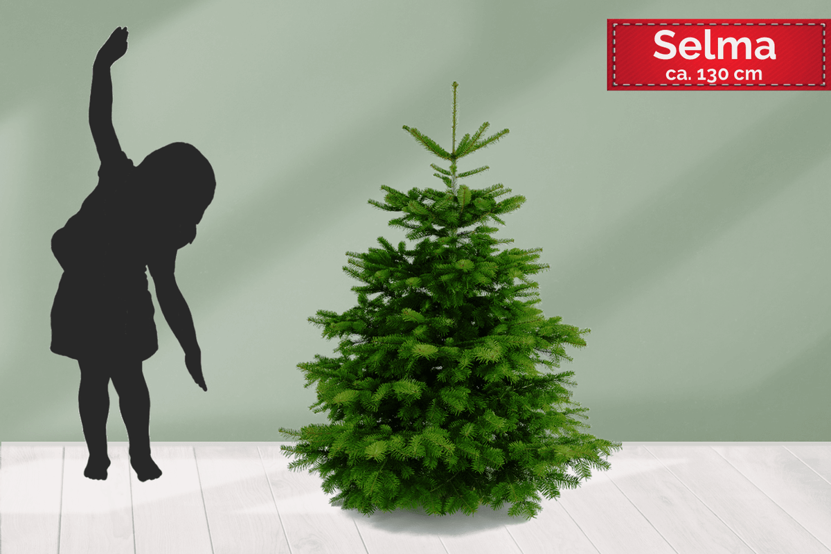 Premium Weihnachtsbaum SELMA 130 cm online kaufen – GUSTAAFS Weihnachtsbaum