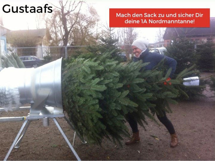 Weihnachtsbaum online kaufen Weihnachtsbäume im Versand nach Ganz Deutschland