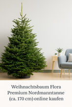 Lade das Bild in den Galerie-Viewer, Premium Weihnachtsbaum Flora: Nordmanntanne ca. 170 cm. Online bestellen &amp; frische Weihnachtsbaum Lieferung in Rostock und deutschlandweit genießen.
