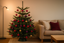 Lade das Bild in den Galerie-Viewer, Echter Weihnachtsbaum Tannenbaum Christbaum GRETA Premium Nordmanntanne ca. 150 cm online bestellen
