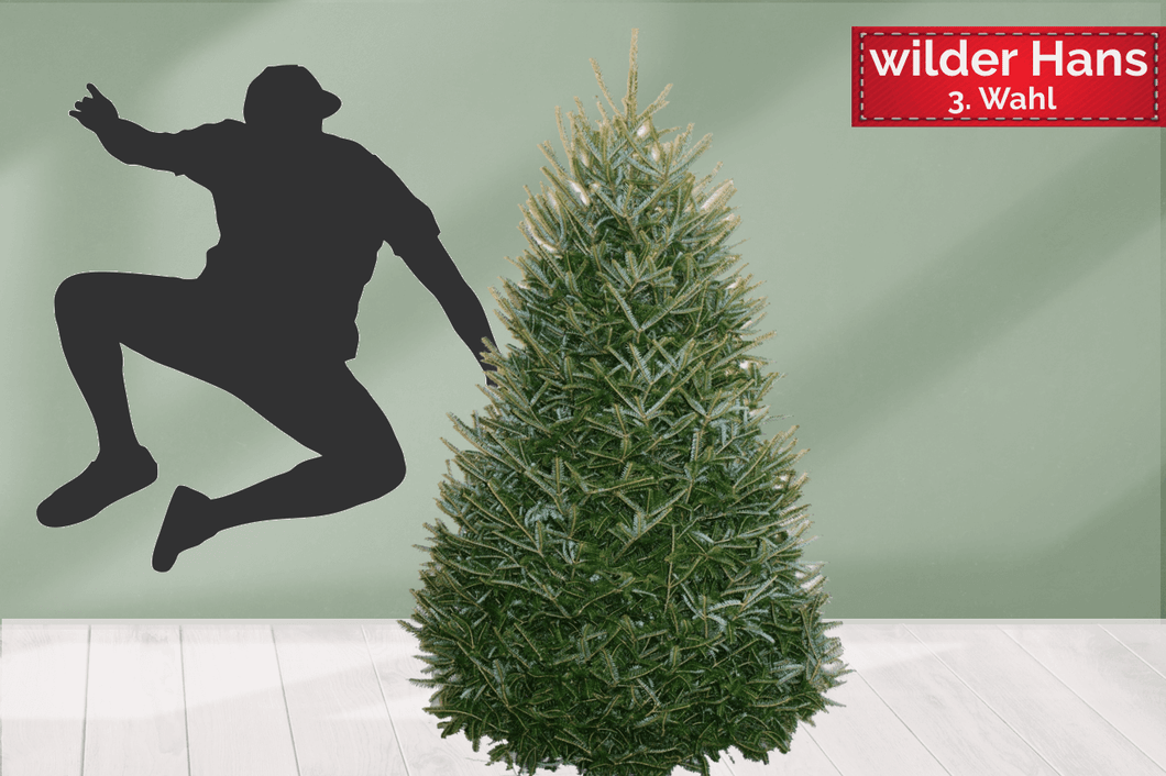 Echter Tannenbaum Christbaum Weihnachtsbaum WILDER HANS Nordmanntanne 150cm bis ca. 210cm online kaufen - 3te Wahl