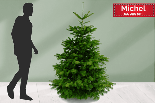 Weihnachtsbaum online kaufen. Tannebaum Michel sicher zum Wunschtermin liefern. 